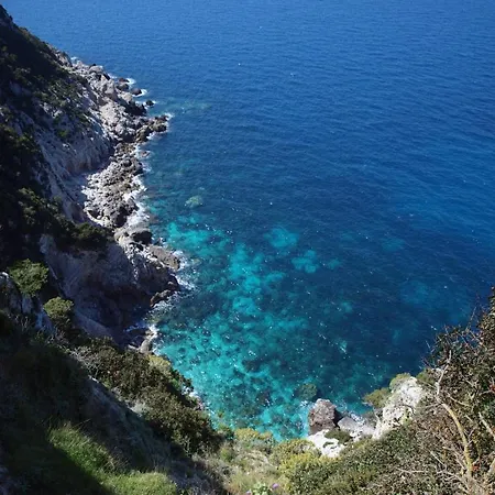 Niko * Lassi (Kefalonia)